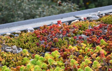 the cost of Old Swarland green roof installation