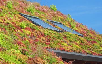 Old Swarland living roof systems